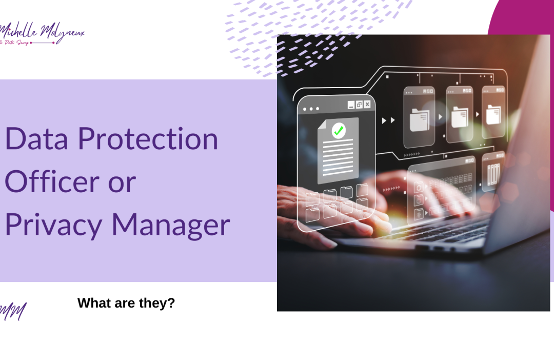 What are privacy managers and data protection officers?