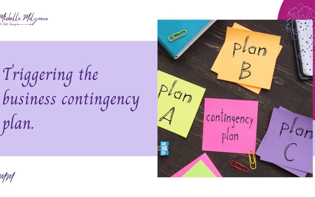 Contingency plan, michelle Molyneux Business Consulting Ltd, Data Protection Specialist